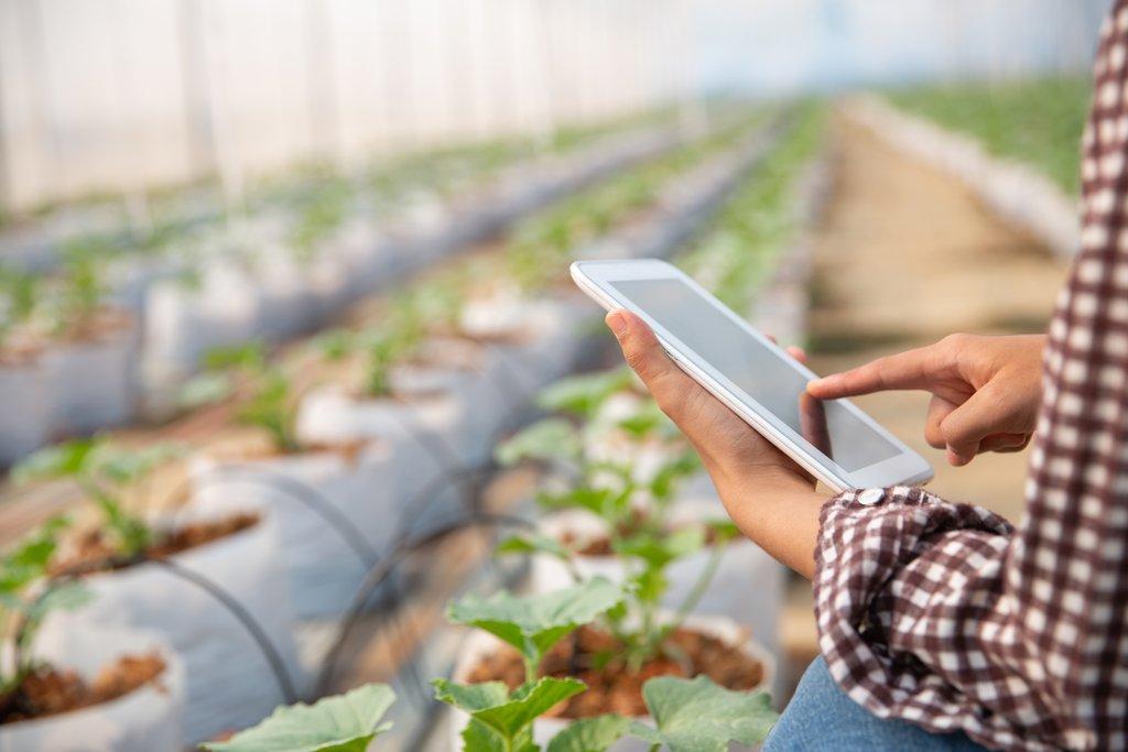 ERPNext Agriculture Module: Transforming Farming with Digital Intelligence - Cover Image